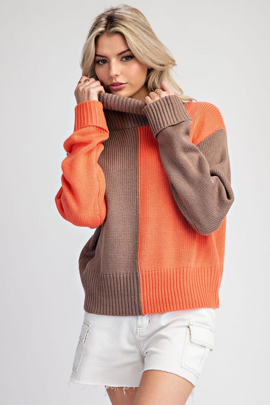 Color Block Turtle Neck Sweater Coco
