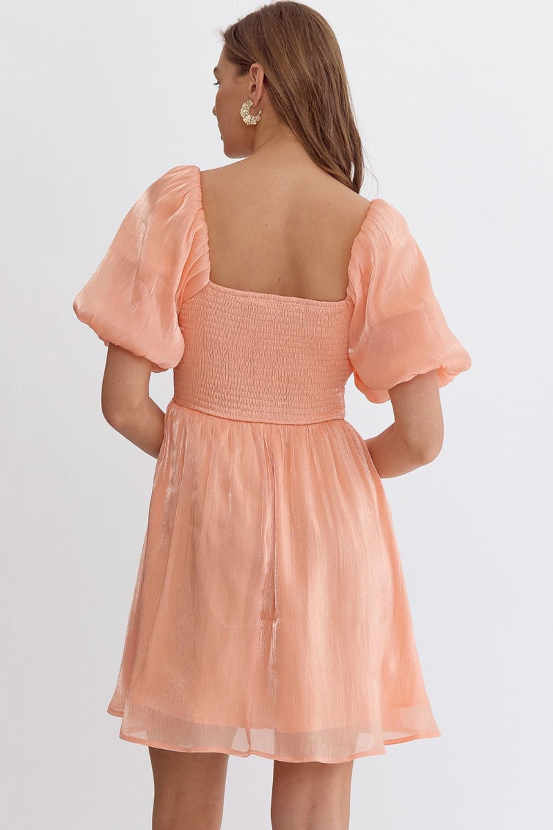 Iridescent Dress W/ Bow Detail Peach